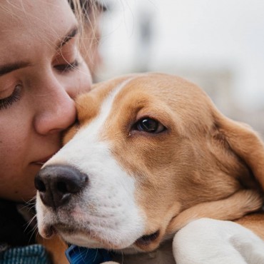 Sepultamento de Animais em Inhaúma